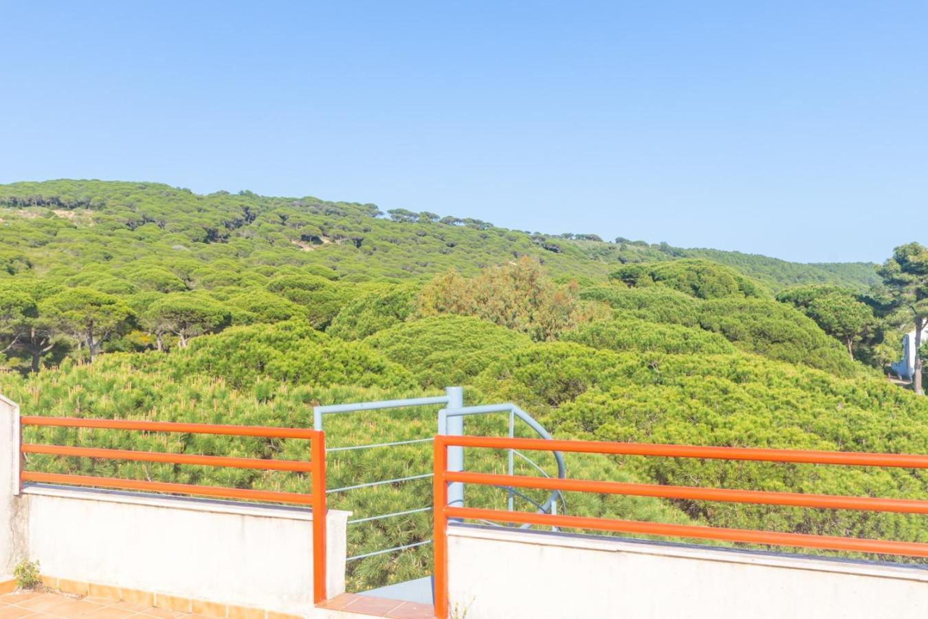 Apartamento con piscina y garaje en los Caños de Meca. Exterior foto
